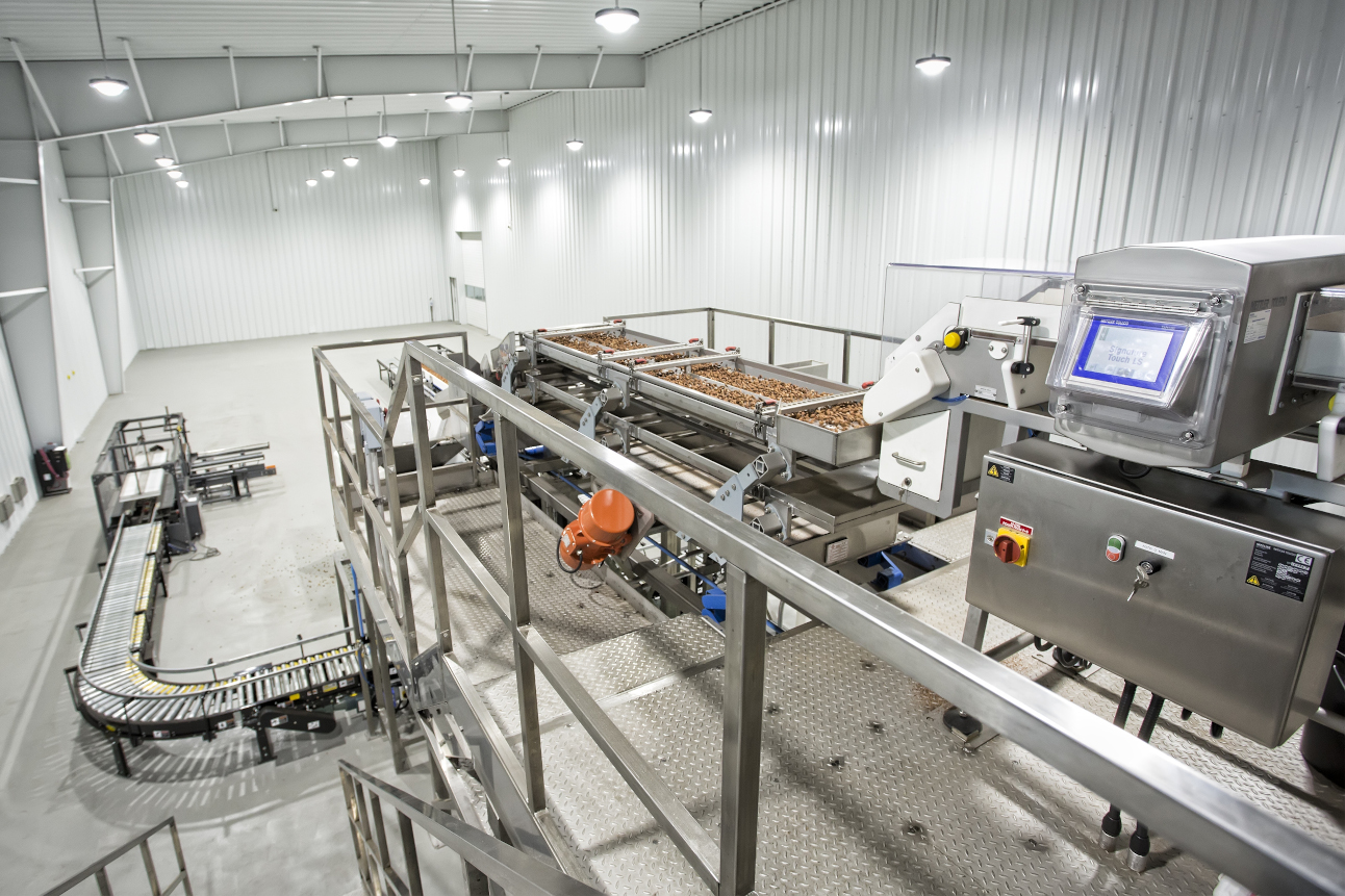 Projects - BORRELL USA | Almond Processing Equipment & Lines
