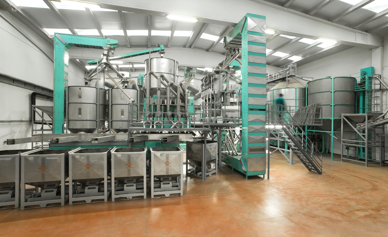 Projects - BORRELL USA | Almond Processing Equipment & Lines